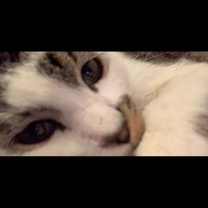 Meet your Posher, Jacob